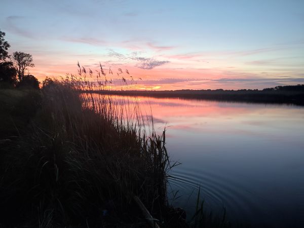 Idyllischer Weg entlang des Ryck