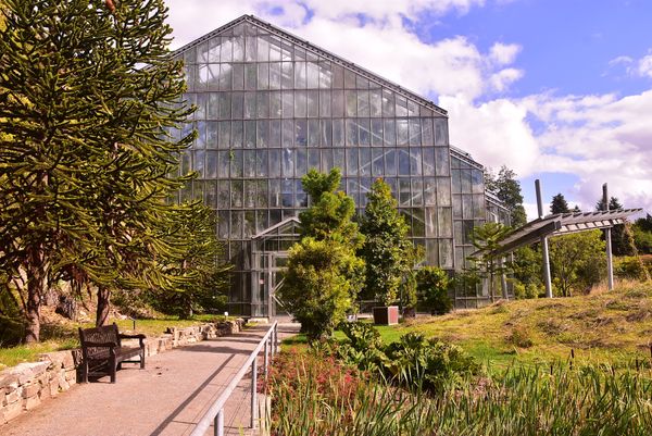 Grüne Oase mitten in der Stadt