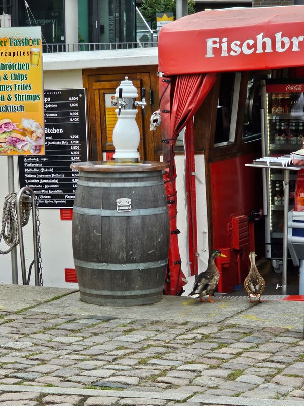 Beste Fischbrötchen am Hafen