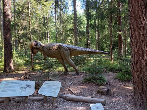 Zeitreise zu den Giganten der Urzeit