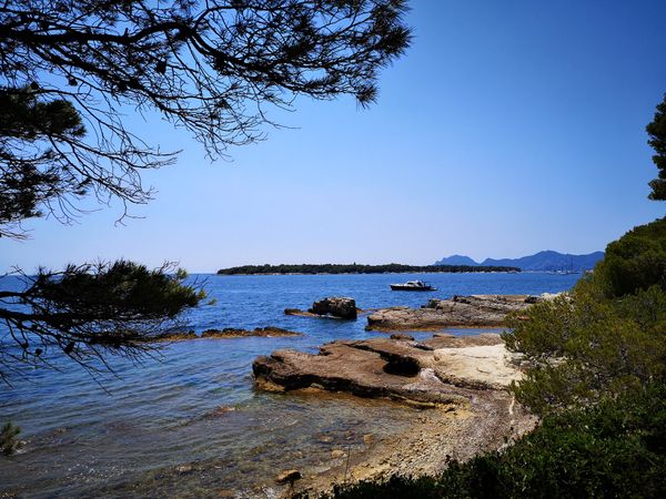 Natur pur auf einer Insel