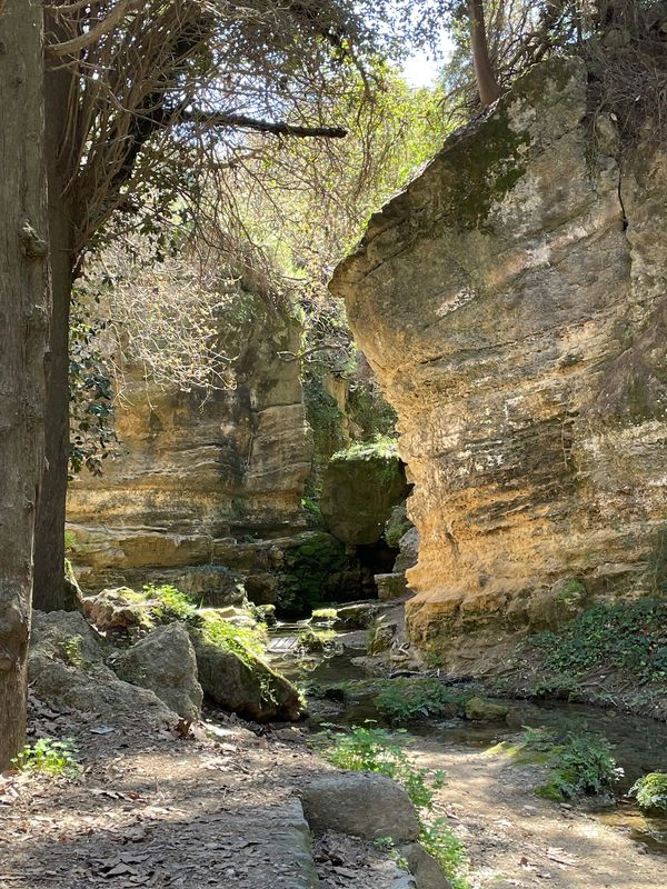 Oase der Ruhe mit Pfauen