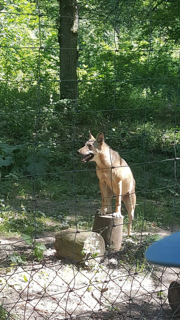 Entspannung im Grünen für die ganze Familie