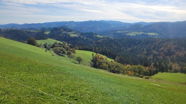 Almgenuss mit Aussicht