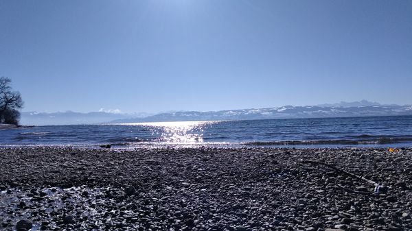 Elegantes Essen mit Blick auf den Bodensee