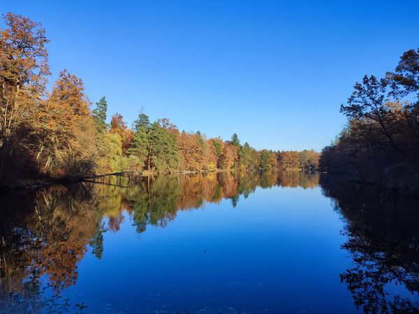 Idyllische Ruhe am Stuttgarter Gewässer