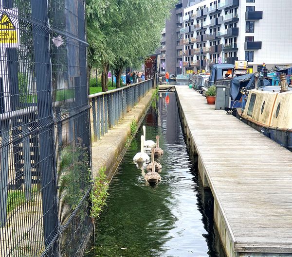 Spurensuche im coolsten Viertel