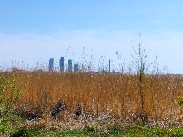 Naturparadies mitten in Helsinki