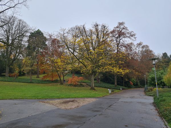 Entspannung und Natur in der Stadt