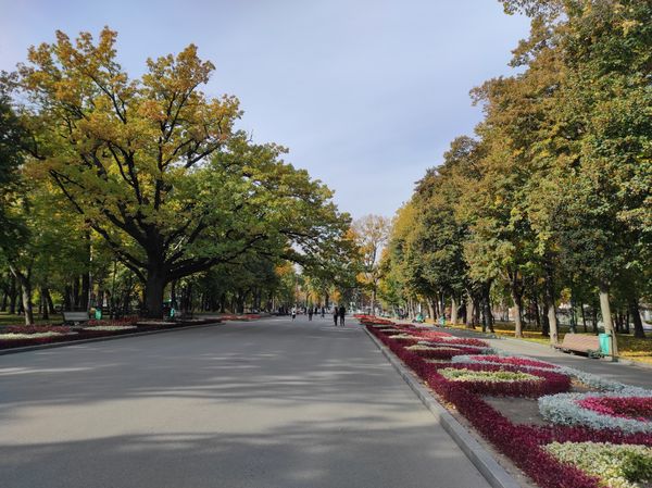 Grüne Oase in der Stadt