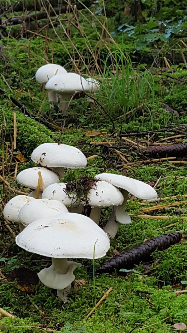 Wandern im Naturparadies
