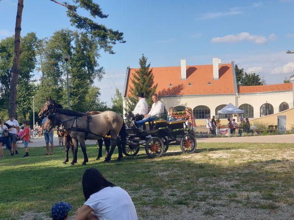 Malerische Aussichten vom Schloss Bezerédj