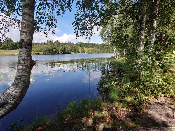 Langlaufabenteuer nahe Oslo