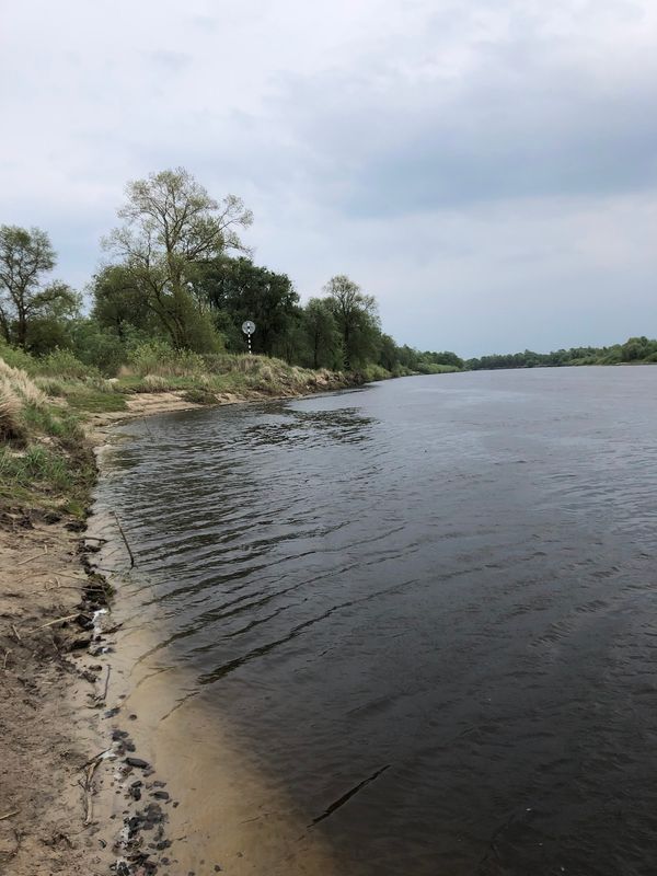 Uralte Eichenhaine in unberührter Natur