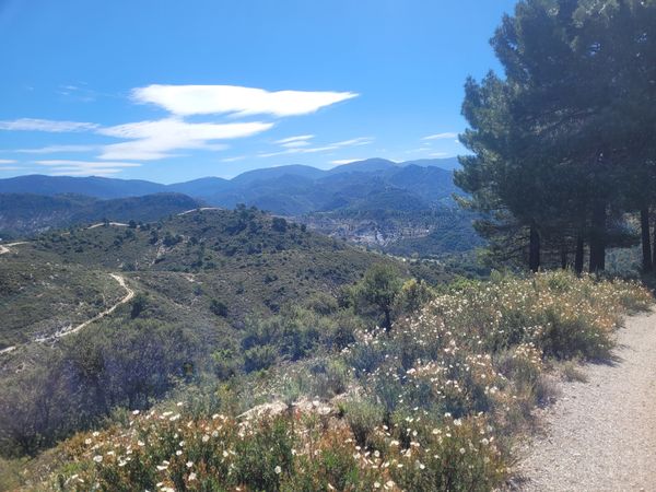 Poetische Aussichten über Granada