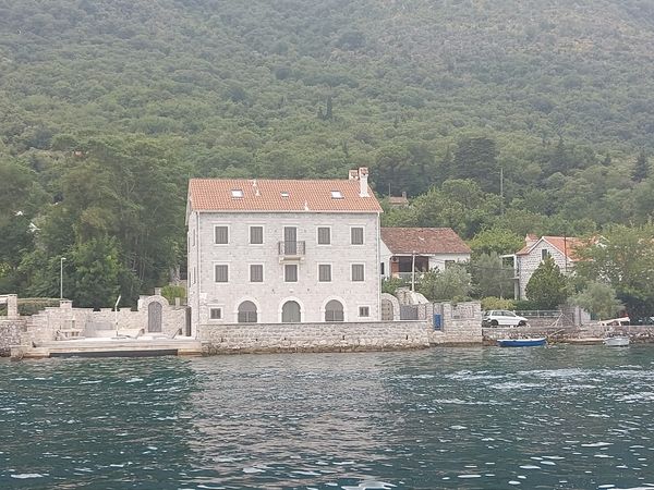 Fest der Kamelien in Donji Stoliv