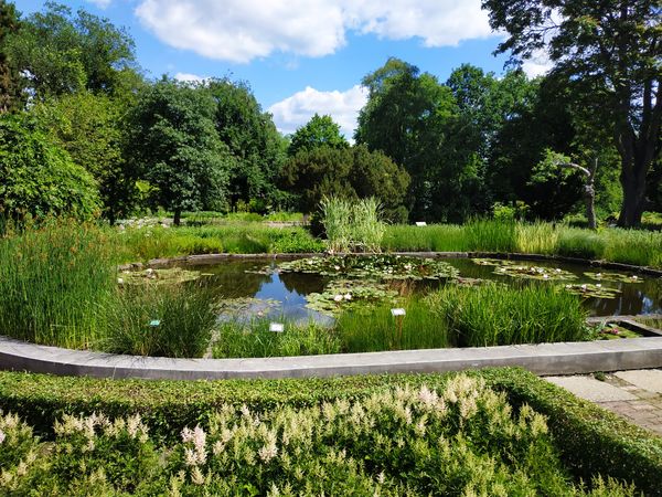 Spaziergang durch botanische Vielfalt