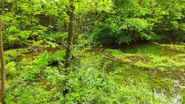 Naturwunder entdecken