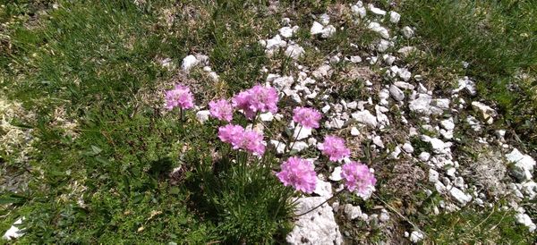 Unberührte Natur im Nationalpark erkunden