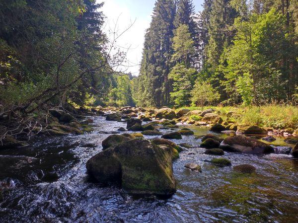 Wandern im grünen Herz Europas