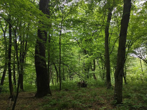 Entspannen & Entdecken in Kyivs grüner Oase