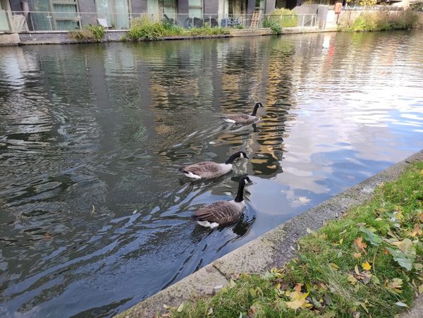 Venedig-Flair in London