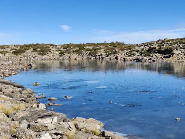Erlebe die Wildnis Spaniens hautnah