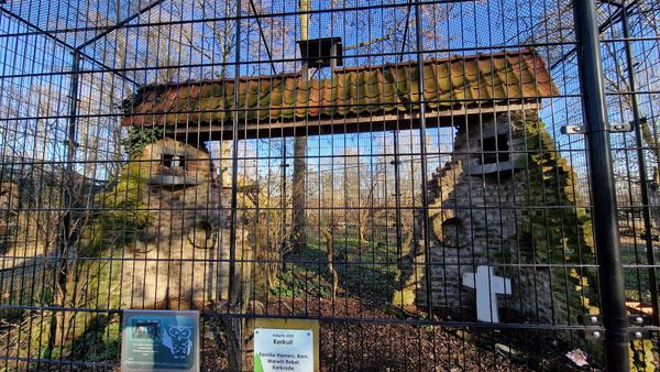 Tierische Entdeckungen im Schlosspark