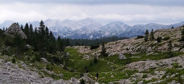 Unberührte Natur im Nationalpark erkunden