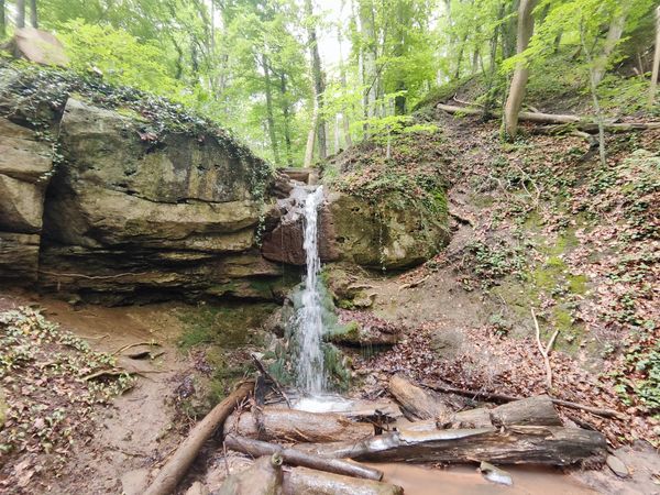 Natur pur am Grunbacher Wasserfall