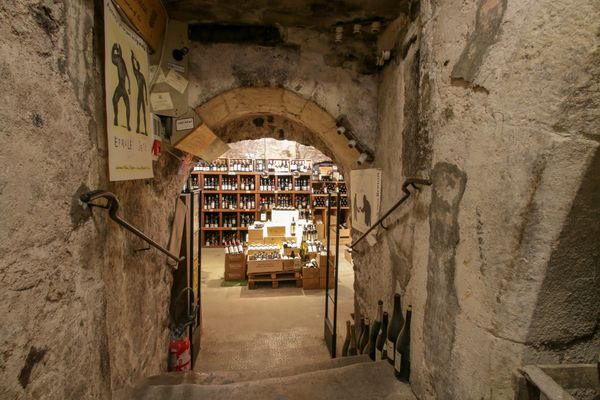 Weinprobe in historischen Kellern