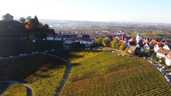 Weinverkostung mit Aussicht