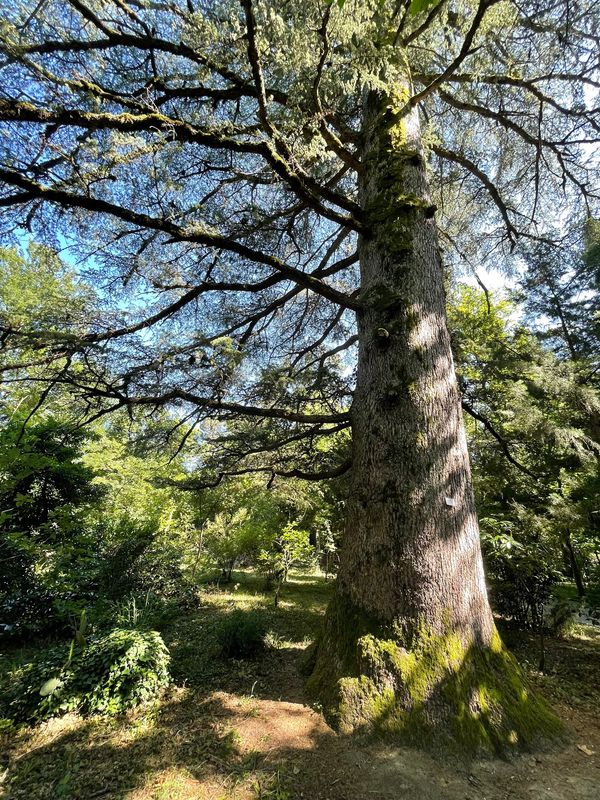 Ruhige Momente im Botanischen Garten