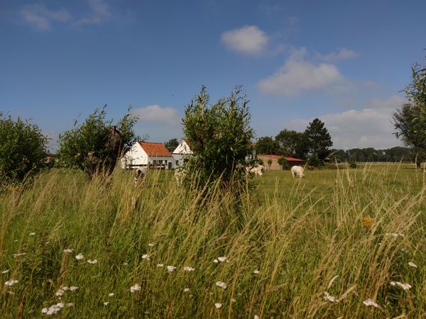 Ein Dorf wie aus der Zeit gefallen