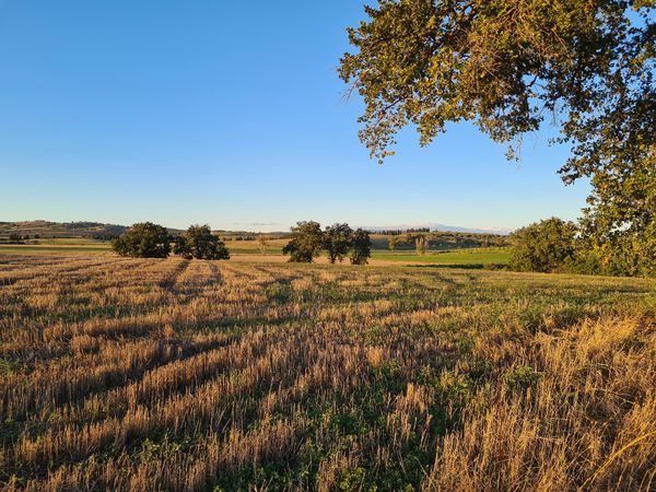 Erkunden Sie das unberührte Paradies der Maremma