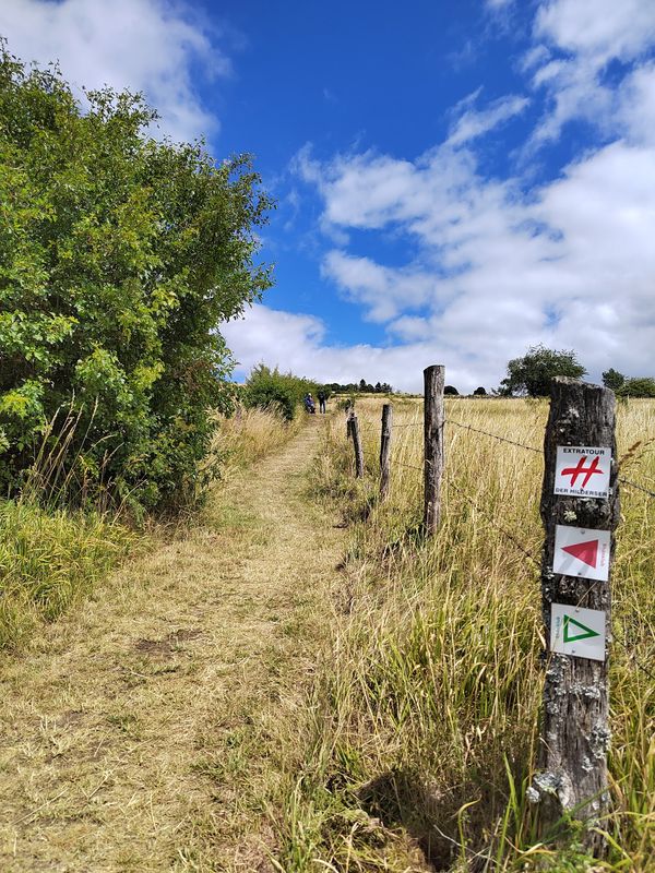 Auf den Spuren der Natur