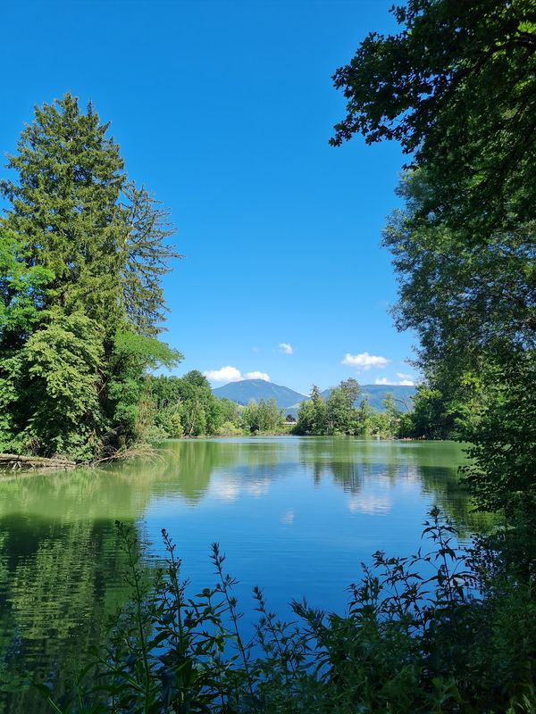 Erfrischende Abkühlung im Stadtfluss