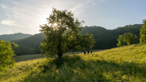 Genießen Sie lokale Spezialitäten am Fluss