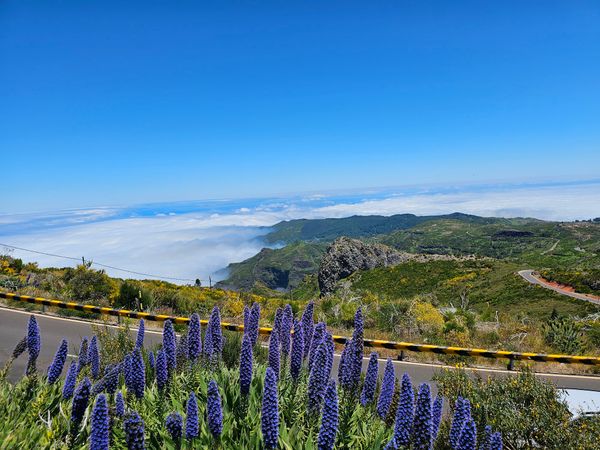 Erkundung der majestätischen Gipfel mit Panoramablicken