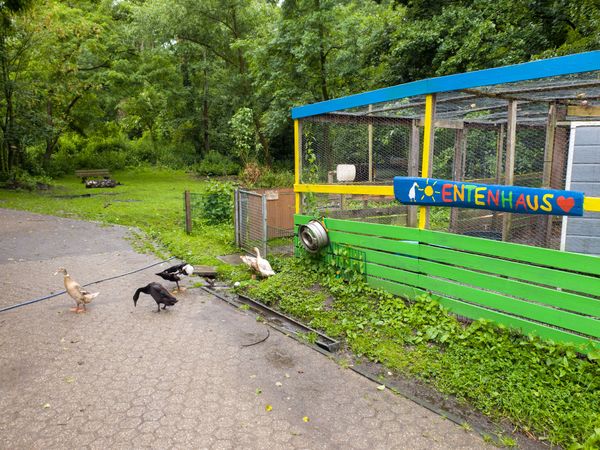 Abenteuer und Spaß für junge Entdecker