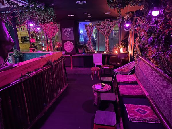 Exotische Cocktails im Dschungelambiente