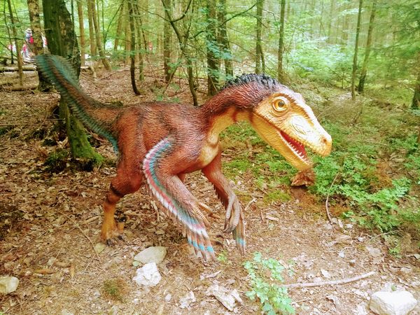 Zeitreise zu den Giganten der Urzeit
