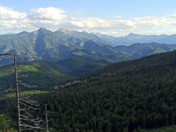 Einzigartiges Wildnisgebiet erkunden