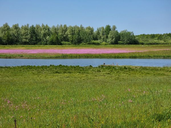 Erkunde unberührte Naturreservate