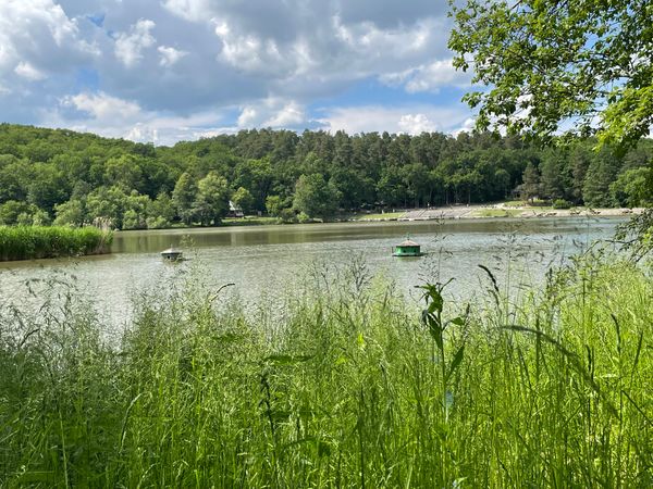 Eintauchen in Rumäniens ländliche Kultur