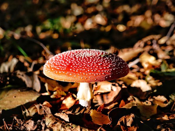 Naturabenteuer südlich der Elbe