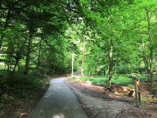 Natur und Aussichtspunkte mitten in der Stadt