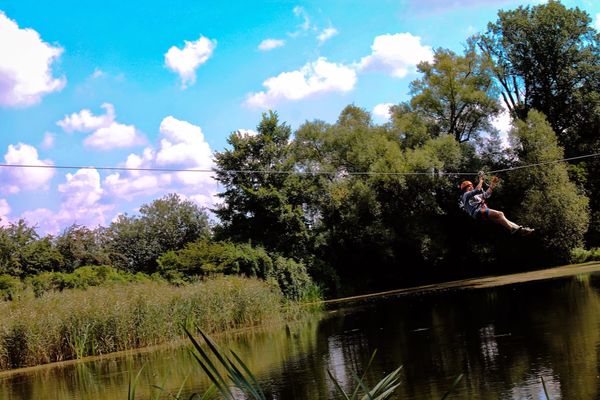 Abenteuer in den Baumwipfeln