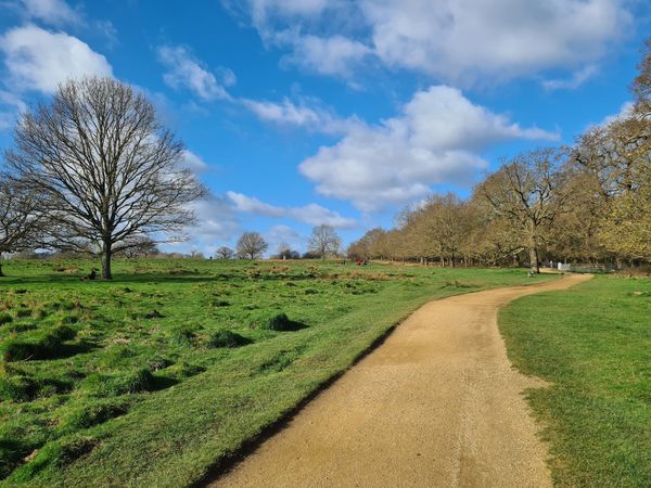 Wildtiere beobachten im größten Park Londons