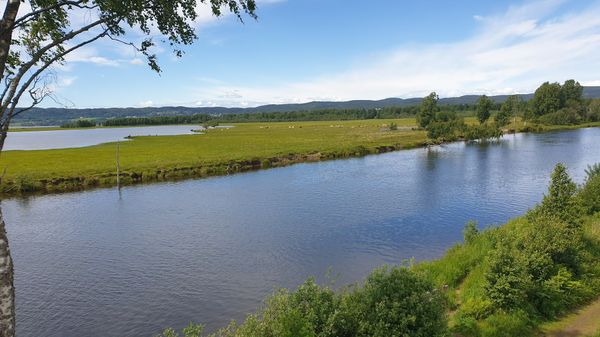 Norwegens Amazonas per Kajak erkunden